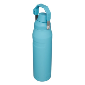 Wonisi Stainless Steel Insulated Reusable Outdoor Sports Water Bottle With Handle WNS-TW